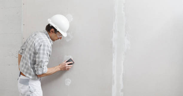 Best Drywall Sanding and Smoothing  in Apison, TN